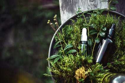 L'intérêt pour les cosmétiques bio pour hommes a considérablement augmenté ces dernières années