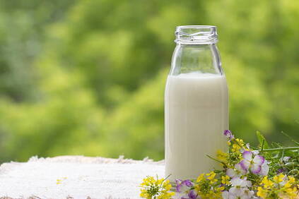 Lait d'Ânesse : Un Trésor Méconnu de la Cosmétique Naturelle